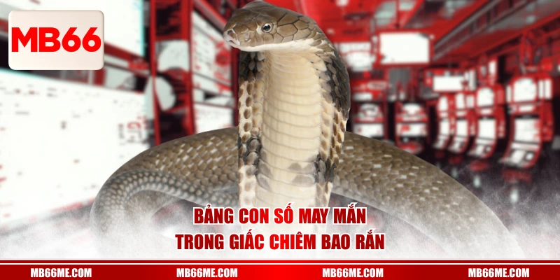 Bảng con số may mắn trong giấc chiêm bao rắn