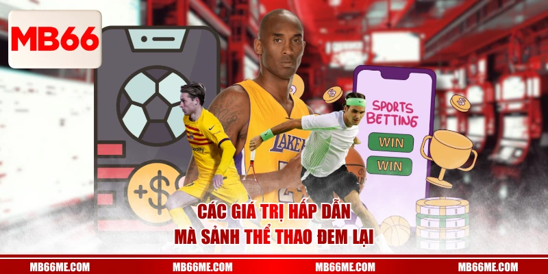 Các giá trị hấp dẫn mà sảnh thể thao đem lại 