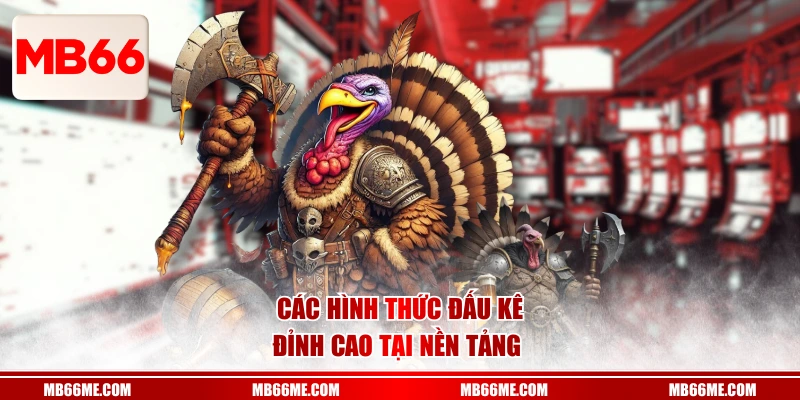 Các hình thức đấu kê đỉnh cao tại nền tảng 
