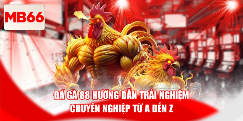 Đá Gà 88