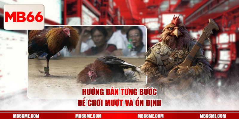 Hướng dẫn từng bước để chơi mượt và ổn định