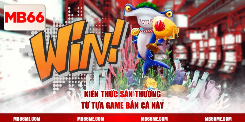 Kiến thức săn thưởng từ tựa game bắn cá này