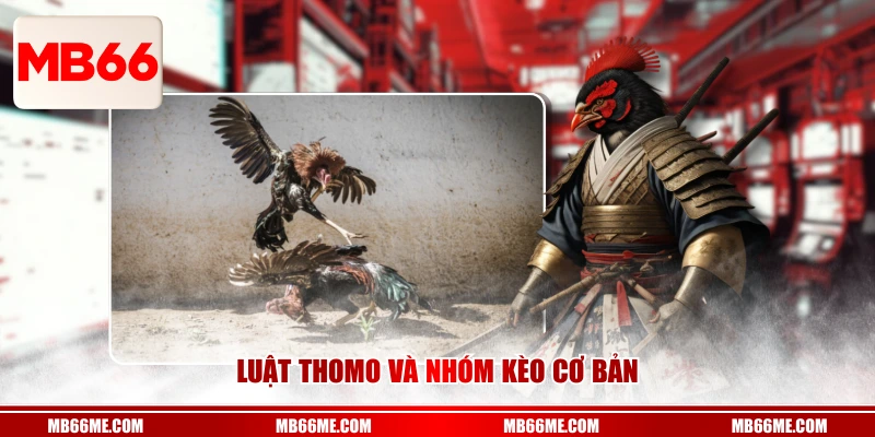 Luật Thomo và nhóm kèo cơ bản