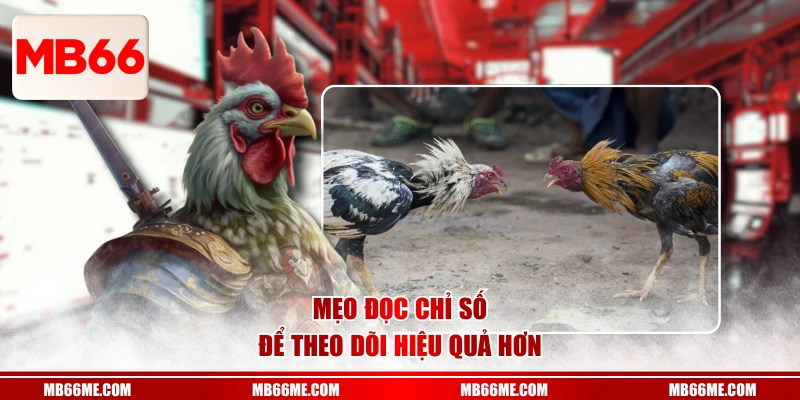 Mẹo đọc chỉ số để theo dõi hiệu quả hơn