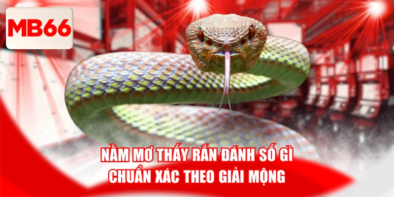 Nằm Mơ Thấy Rắn Đánh Số Gì