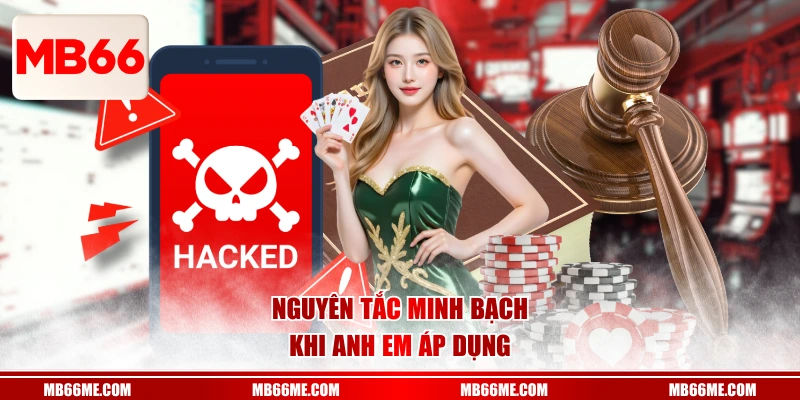 Nguyên tắc minh bạch khi anh em áp dụng