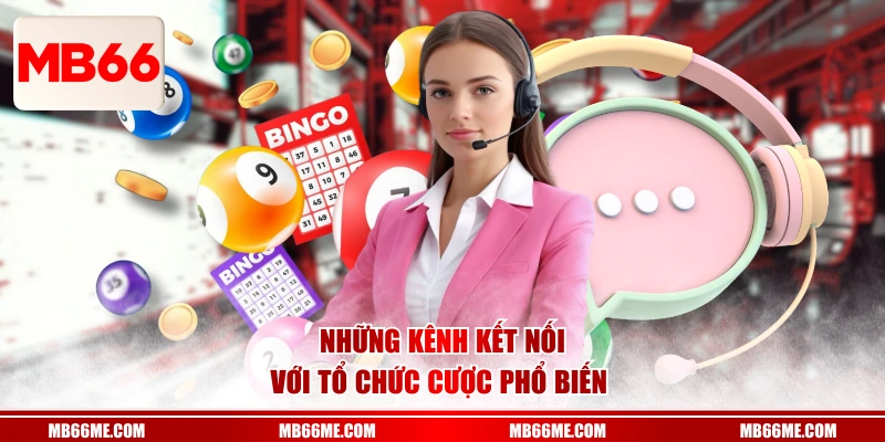 Những kênh kết nối với tổ chức cược phổ biến 