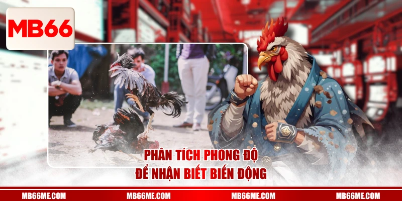 Phân tích phong độ để nhận biết biến động