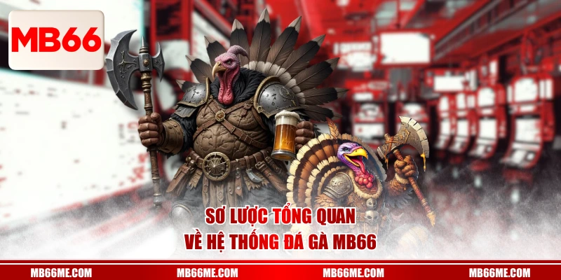Sơ lược tổng quan về hệ thống đá gà MB66