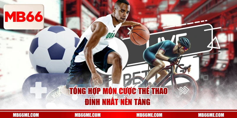 Tổng hợp môn cược thể thao đỉnh nhất nền tảng 