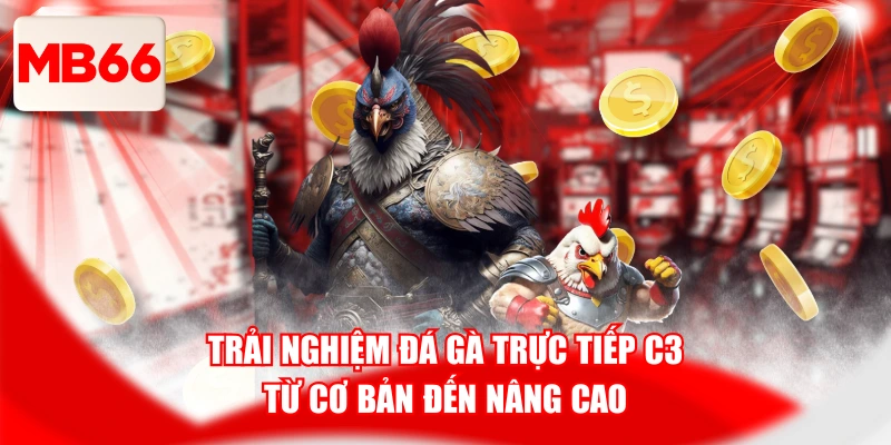 Đá Gà Trực Tiếp C3