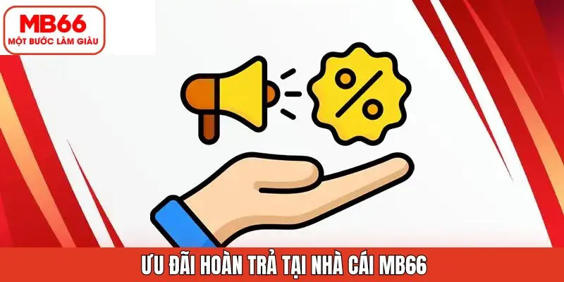 Thiết kế giao diện hướng đến sự thoải mái