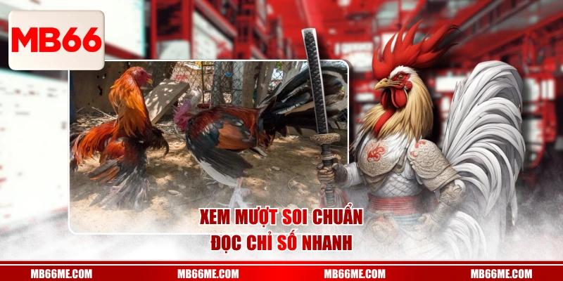 Xem mượt soi chuẩn đọc chỉ số nhanh