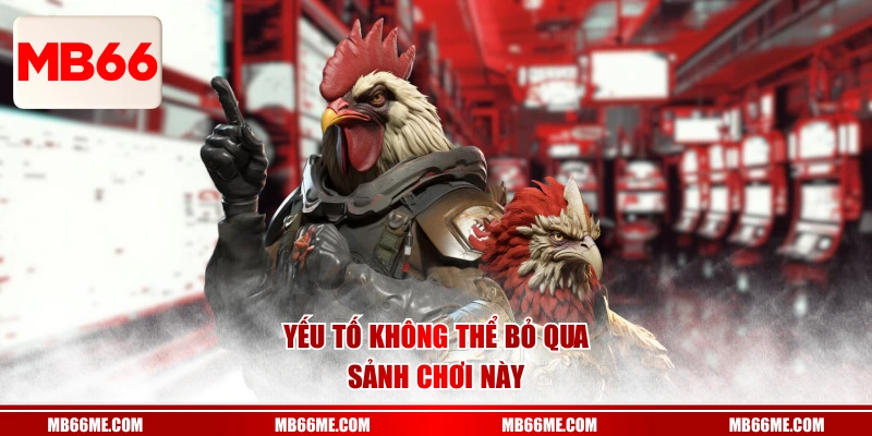 Yếu tố không thể bỏ qua sảnh chơi này 